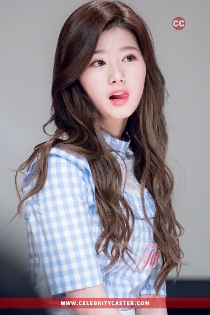 Sana TWICE Height, Weight, Age (Japanese Celebrities) Celebrity Caster