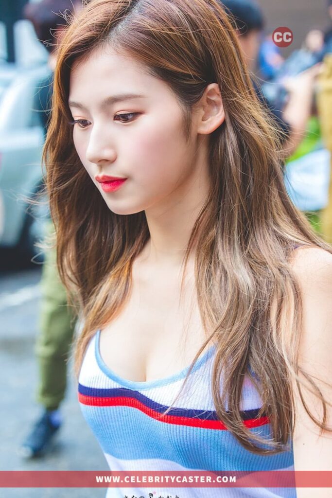 Sana TWICE Height, Weight, Age (Japanese Celebrities) Celebrity Caster