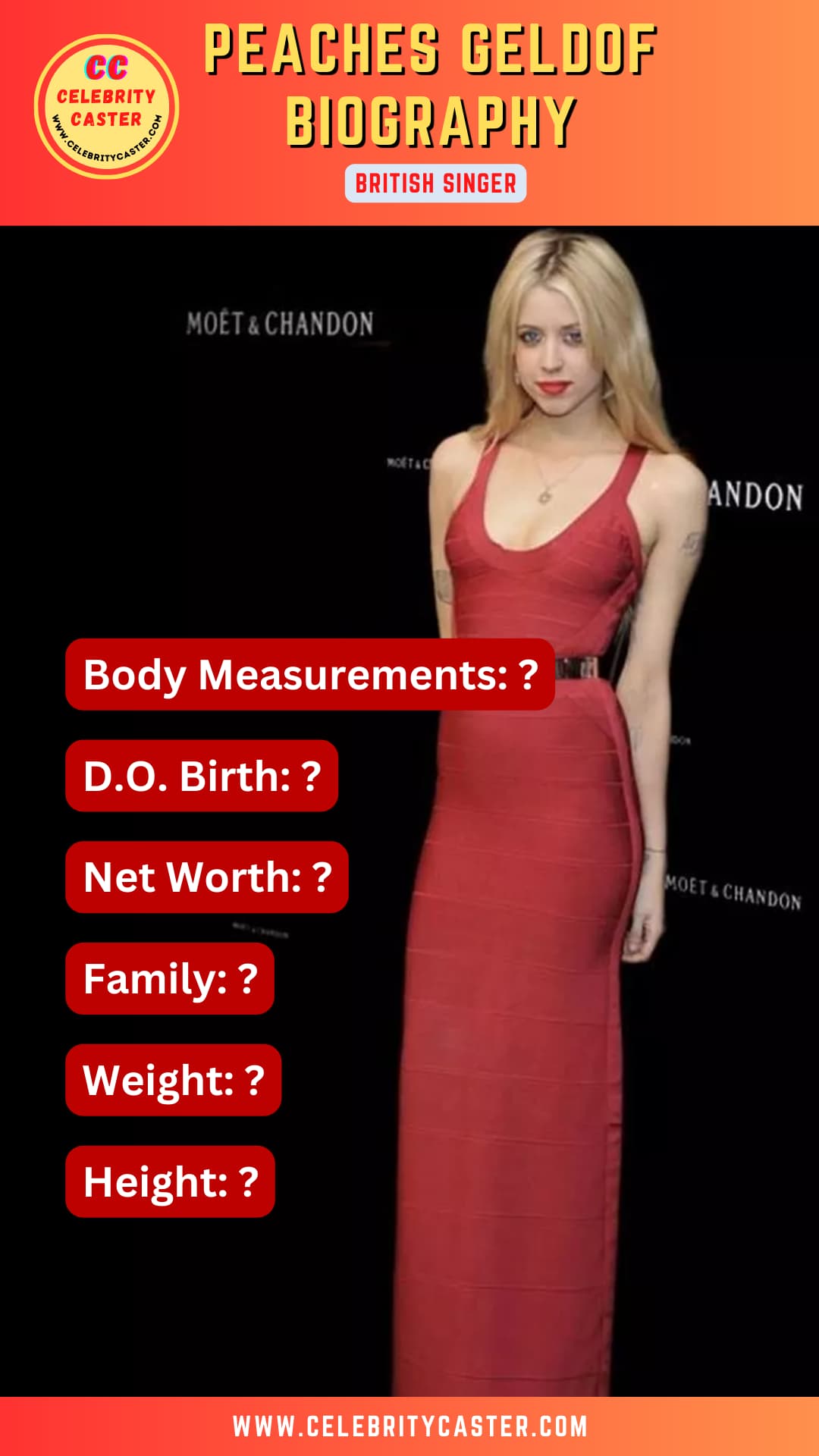 Peaches Geldof Measurements